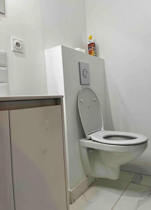 2 Room Flat Τουλούζη Εξωτερικό φωτογραφία